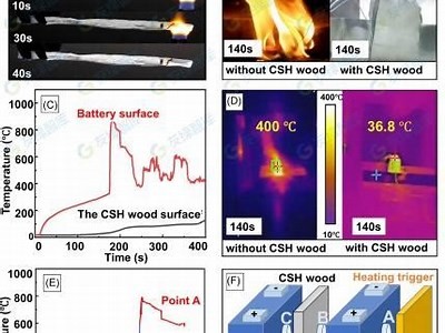 《探索仿生建筑材料：打造绿色可持续建筑的新未来》，仿生建筑的原理